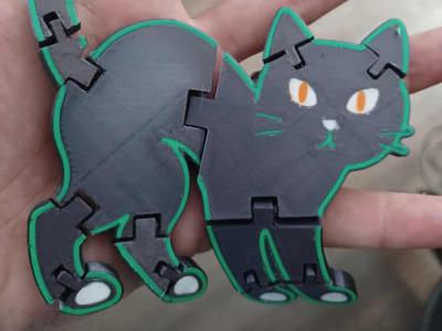 Flexi Cat
