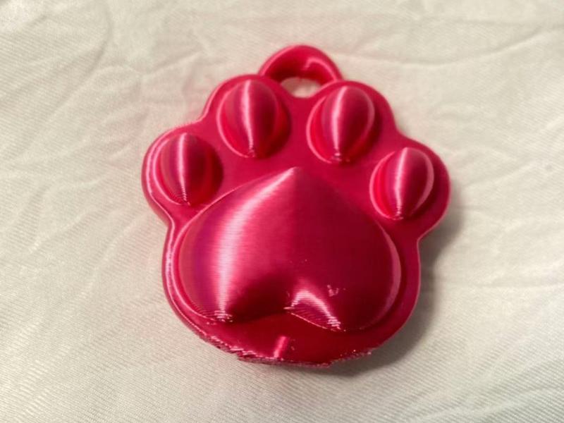3D Cat Paw Necklace