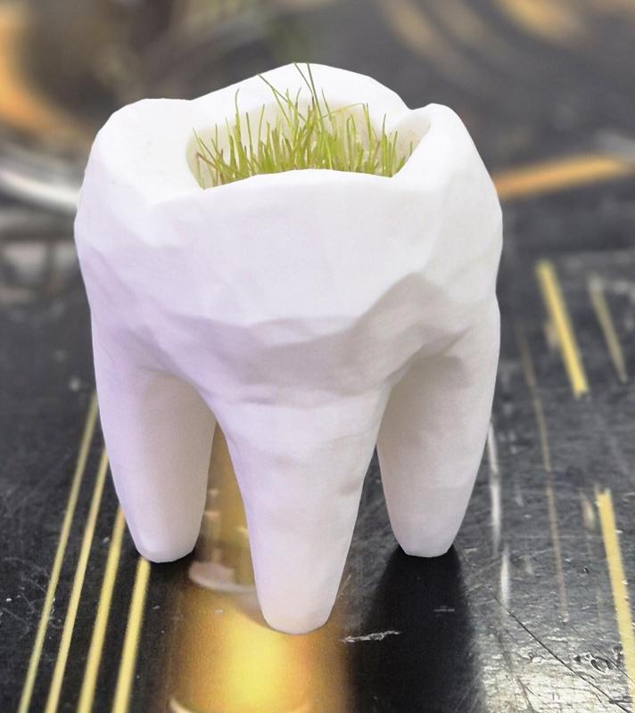 Toothy Smile – 3D Printable Grass Tooth