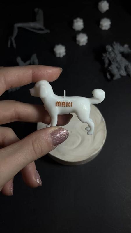 Minimalist Dog Cockapoo Tag Collar  / Keychain