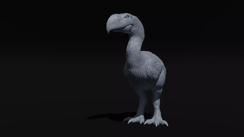 Prehistoric Terror bird