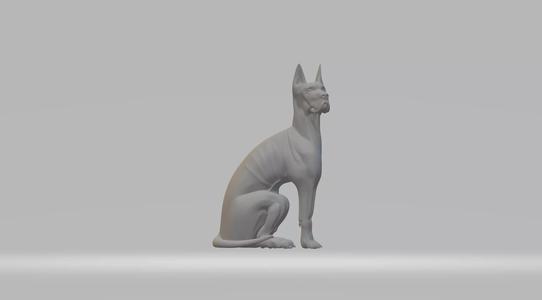 Xoloitzcuintle Dog