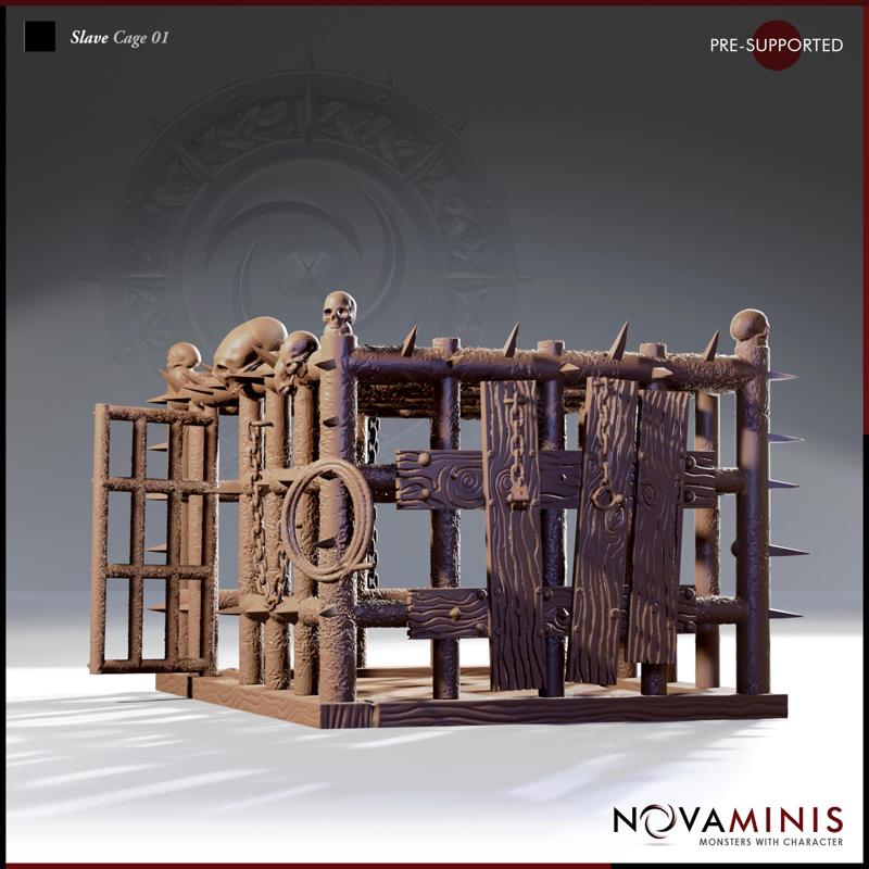 Slave Cage 01