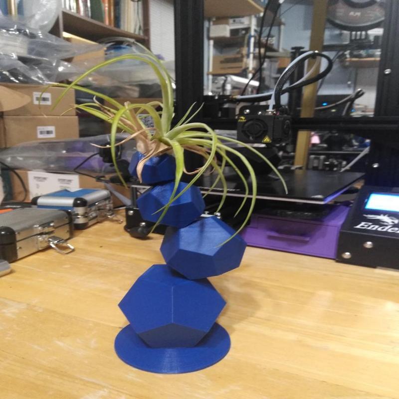 Air Plant Stand