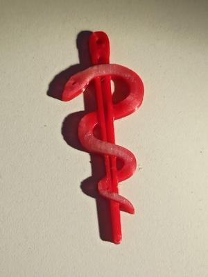 Rod of Asclepius keychain