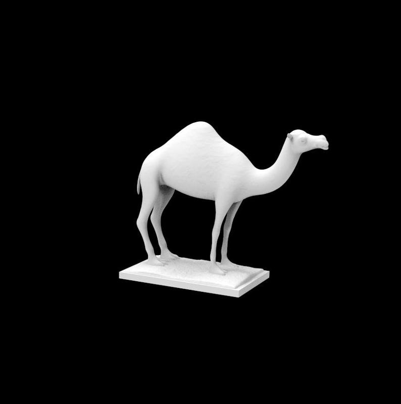 Camel :: Decoration