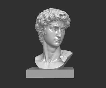DAVID BUST