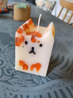 Mold for a cat candle