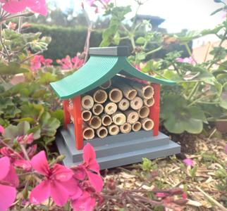 The House of Rising Sun (for bugs)