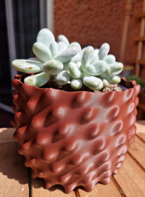 Bumpy plant pot