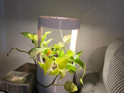 8 Inch Planter with space for grow light