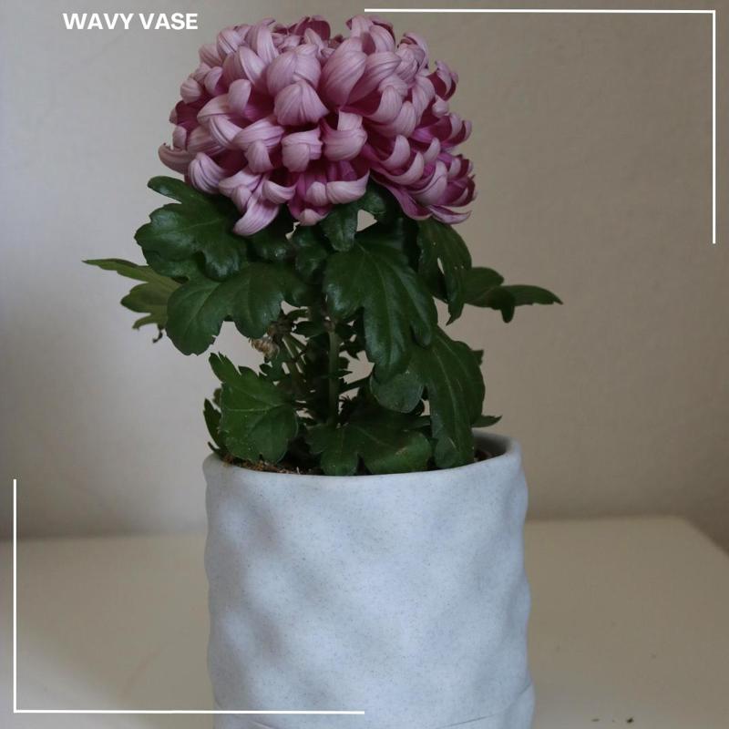 Waves Vase / Planter