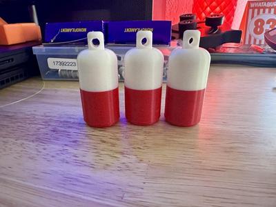 Casting Plug (Fishing)