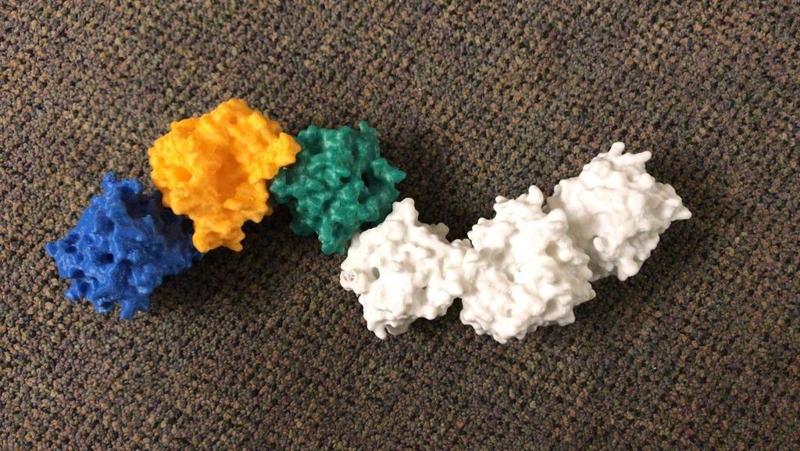 Full Length human Collagen Lysyl Hydroxylase LH3