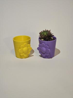 Cute Planter Flower