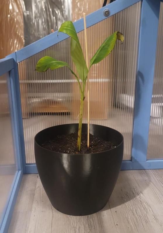 Fast Print 9in (228mm) Planter with Drainage