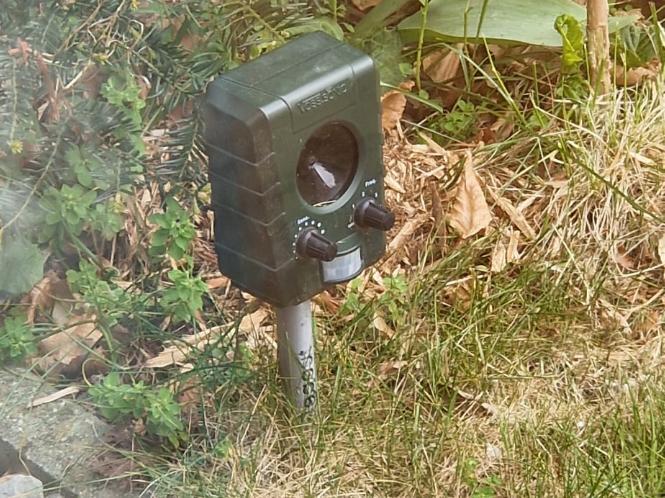 stand/foot for squeaker