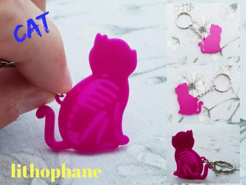 Cat skeleton keychain lithophane