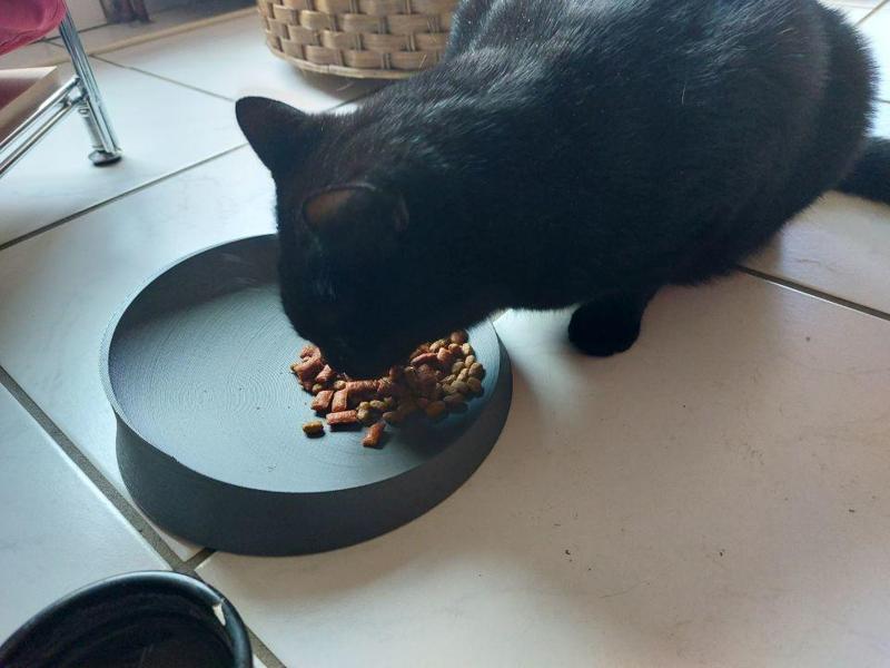 Whisker Relief Cat Bowl