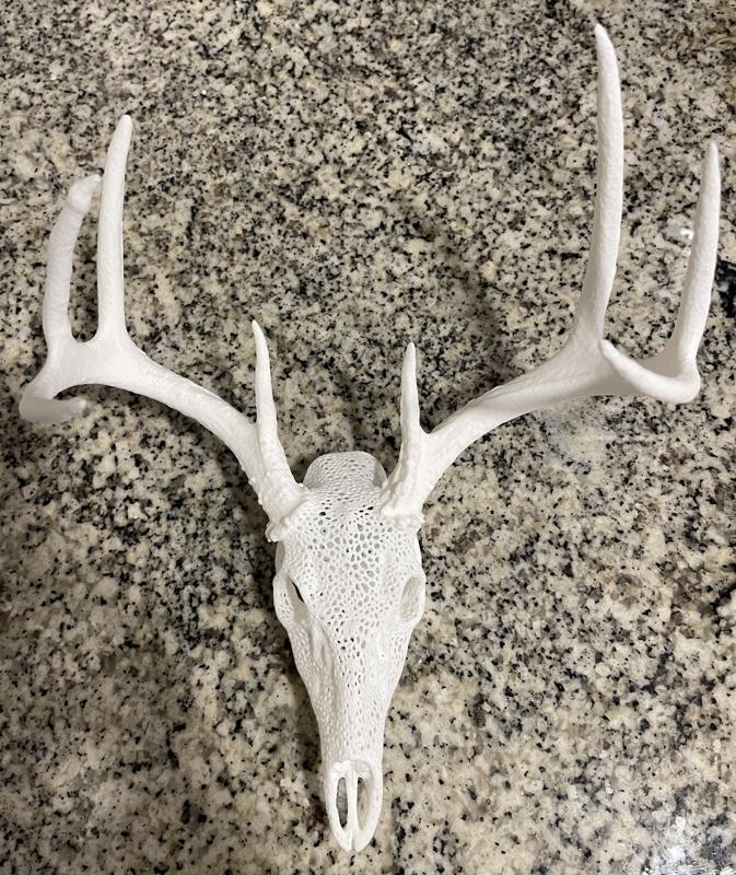 Decorative White-tailed Deer Skull