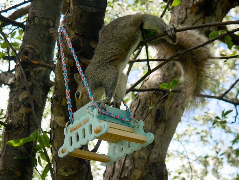 Backyard animal tables (new version)