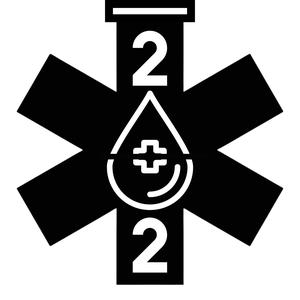 Type 2 Diabetic Keychain