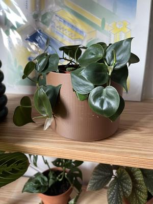 Basic cylindrical planter