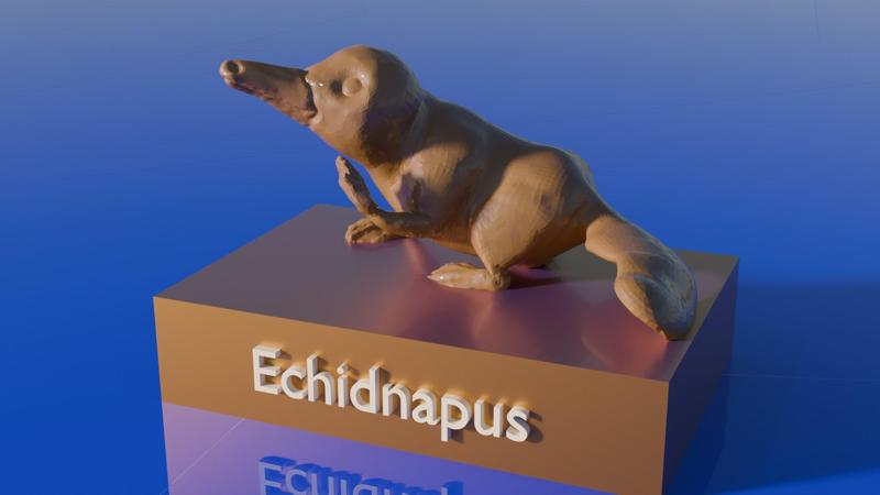 Echidnapus