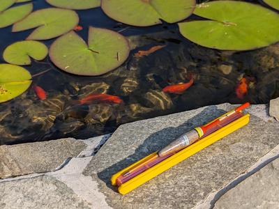 Winder for fishing line and float