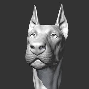 Doberman Head AM17 3D print model