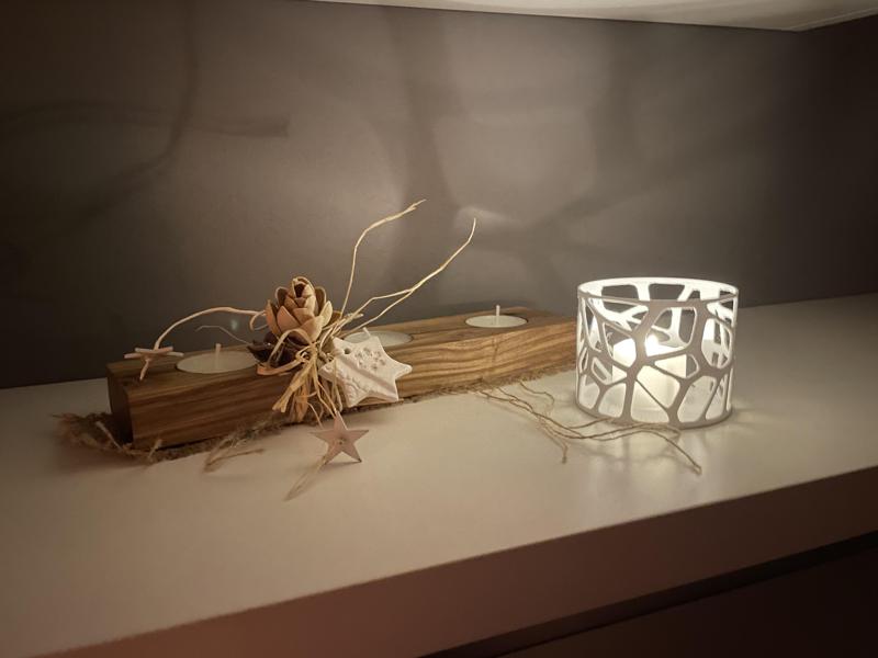 a Voronoi vase for Candle