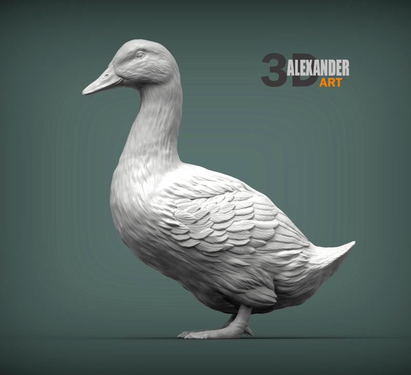 pekin duck 3D print model