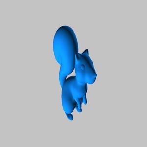 Squirrel 