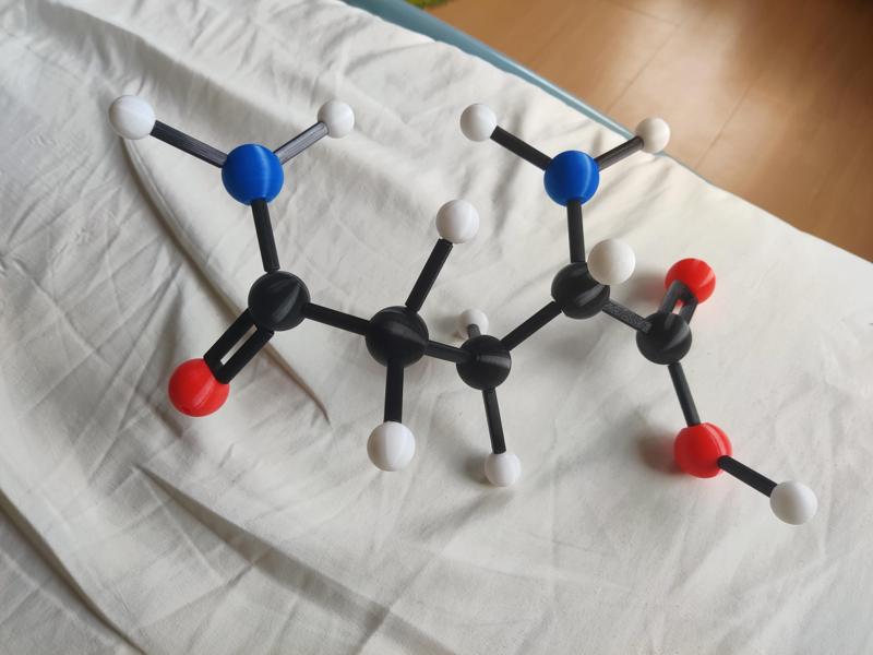 L-Glutamine Model (Amino Acid Build Kit)