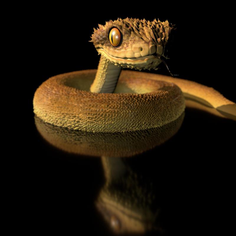 Bush Viper STL 3D Model with Full Size Texture + Zbrush Original High Polygon