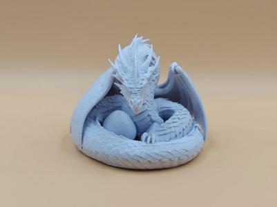 Sleepy Serpent Dragon Guarding her Egg