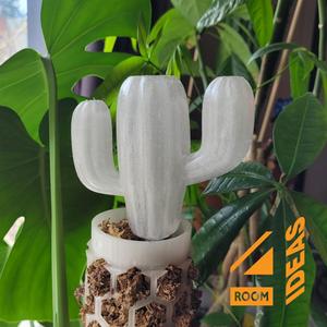 Moss Pole Watering Stake - Cactus 3
