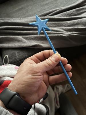 Kouzelná hůlka pro vilu, kouzelnici