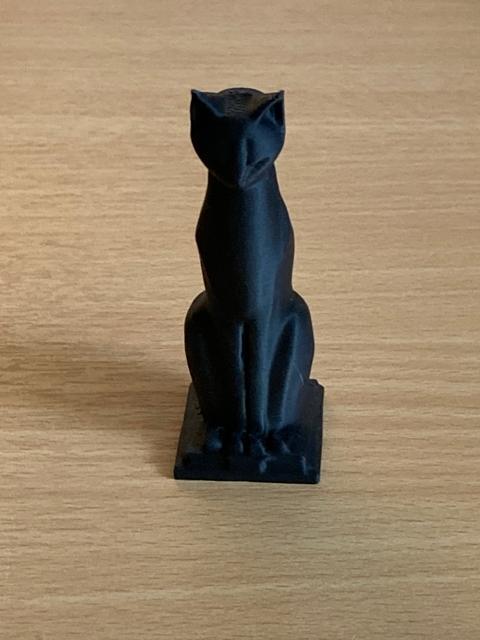 Black Cat - Egyptian Pose
