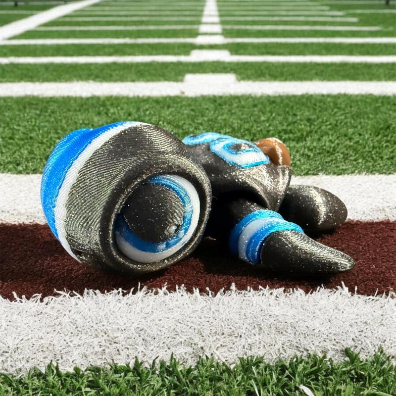 Footballs Biggest Little Fan Turtle