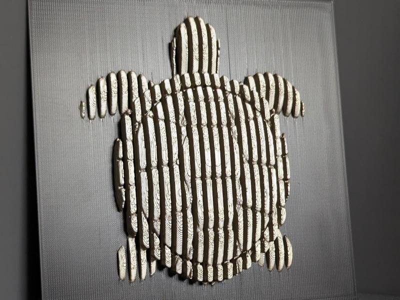 Turtle Layered Sculpture | Wall Art