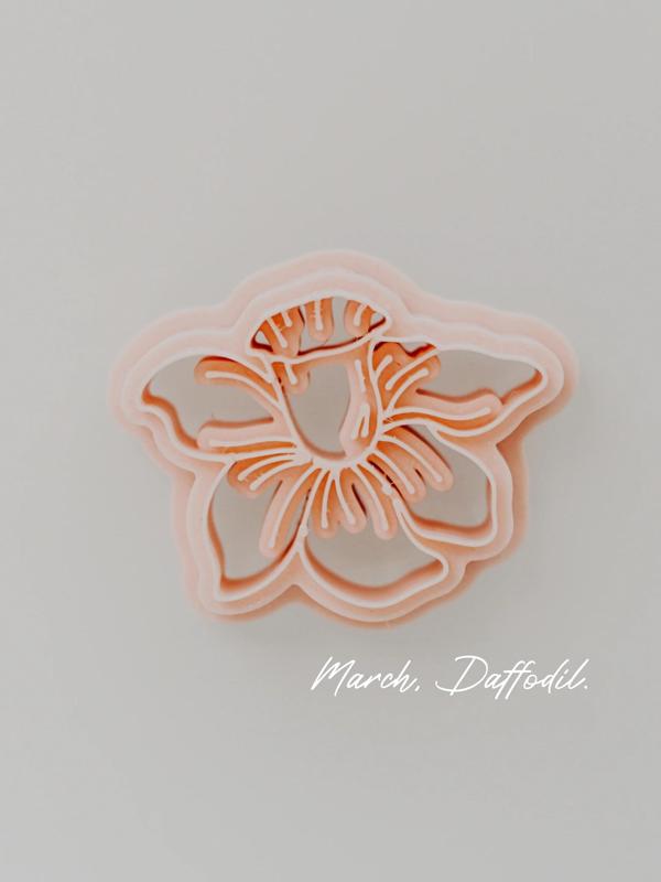 March - Daffodil