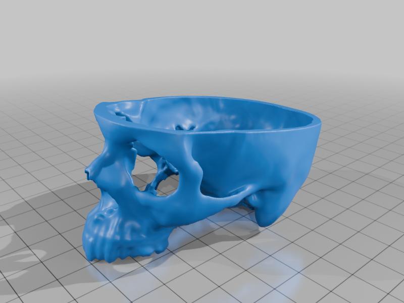 My Dad&#039;s Noggin