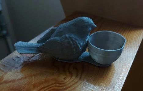 Bird with bowl