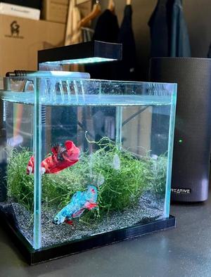 Mini aquarium case lighting bottom frame