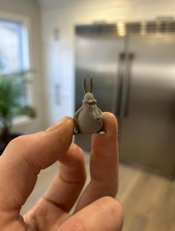 Big Chungus Presta Valve Cap