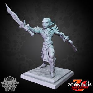 Dark Elf Rogue (pre-supported included)