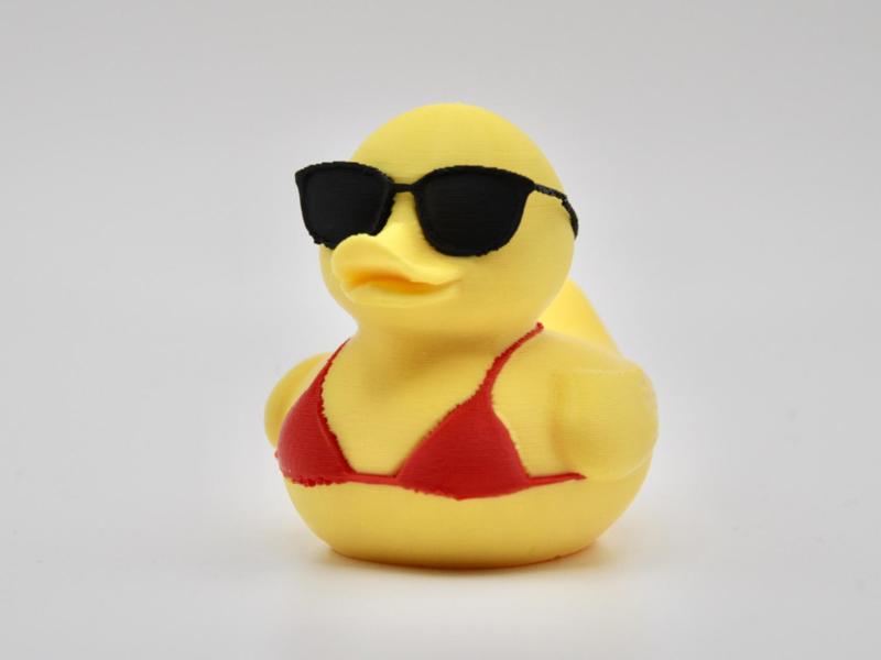 Bikini Duck