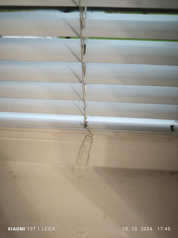 Venetian blind window