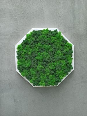 Octagon Moss Frame